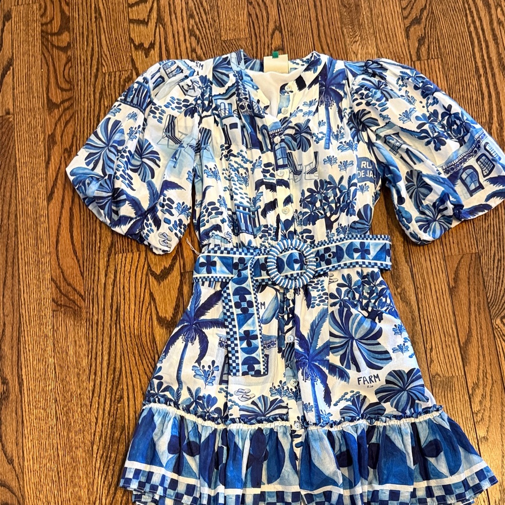 Farm Rio dress size small worn one time